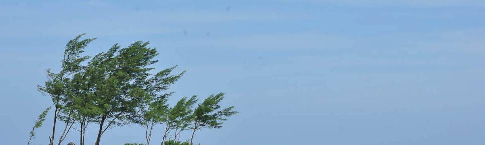 Praia do Ouvidor, em Garopaba, litoral sul de Santa Catarina